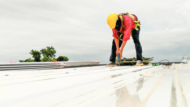 Best Chimney Flashing Repair  in Willow Creek, CA