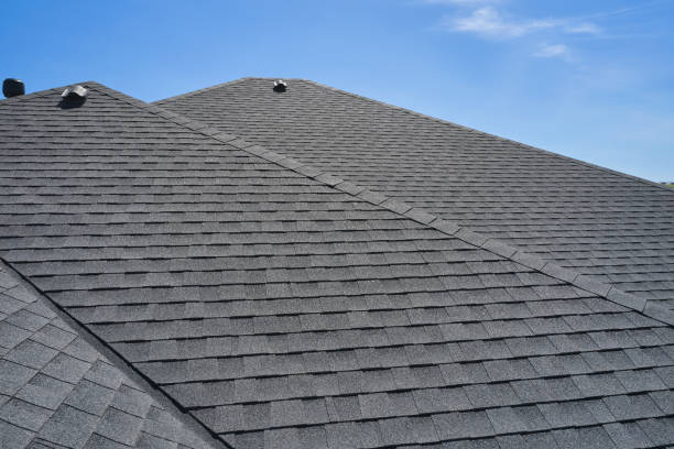 Best Roof Moss and Algae Removal  in Willow Creek, CA